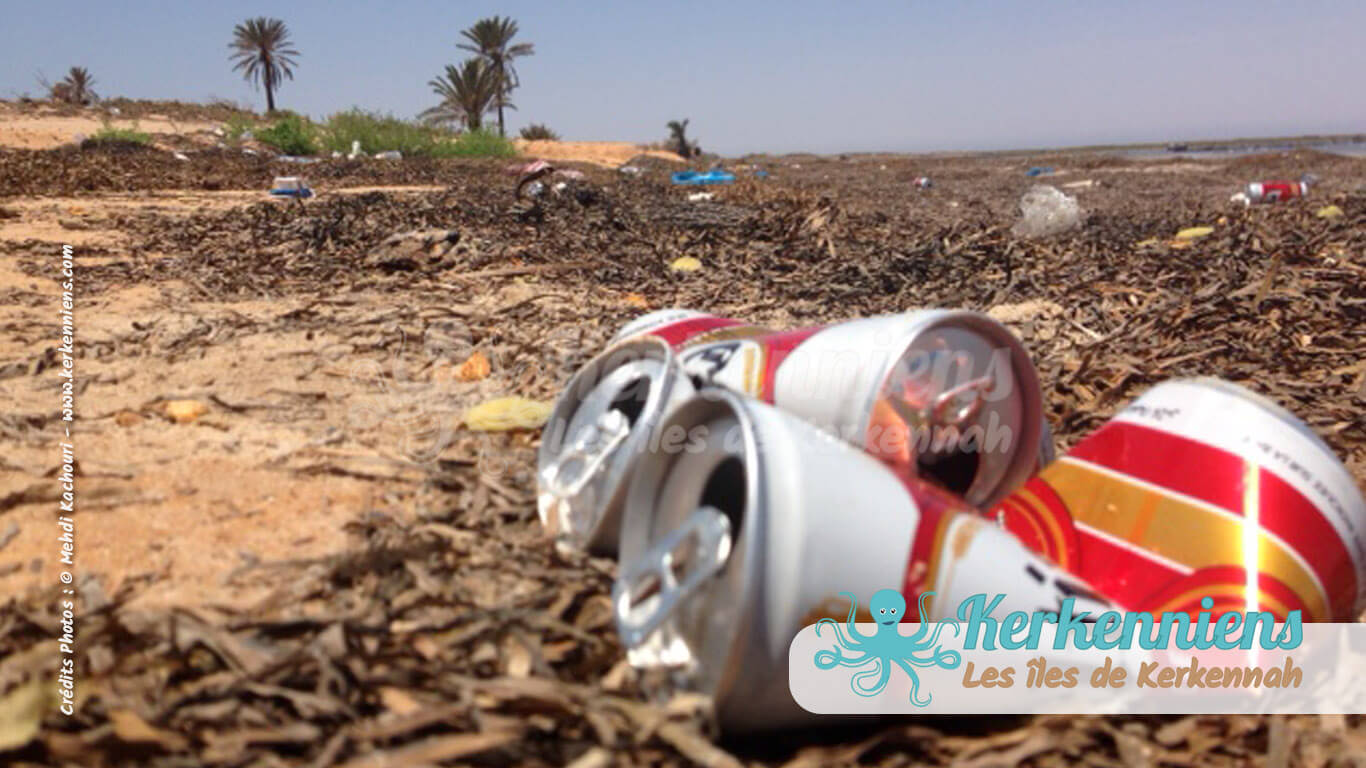 Empreintes désolantes dans la baie sauvage de Sidi Fonkhal, lieu de migration et de biodiversité, Canettes bière Celtia SFBT et dechets plastiques.