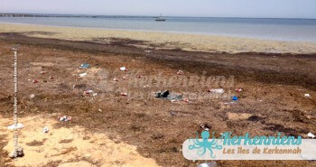 Plage éternelle souillée par le siècle du plastique Kerkennah (Tunisie)