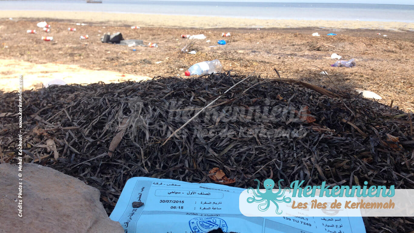 Réservation SONOTRAK de voiture pour le babour et succession de plastiques à l'horizon - Kerkennah (Tunisie)