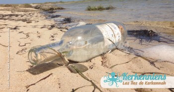 Une bouteille échouée sur la côte de l'îlot vierge de Grimdi - Archipel de Kerkennah (Tunisie)