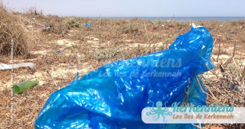 Le très célèbre sac plastique bleu de Kerkennah... on préfère le bleu du ciel dans la mer Kerkennah (Tunisie)