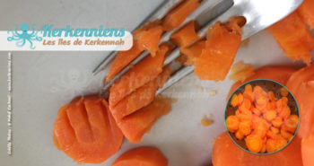 Recette de cuisine salade de carottes piquante Omek Houria - Les carottes écrasées par la fourchette