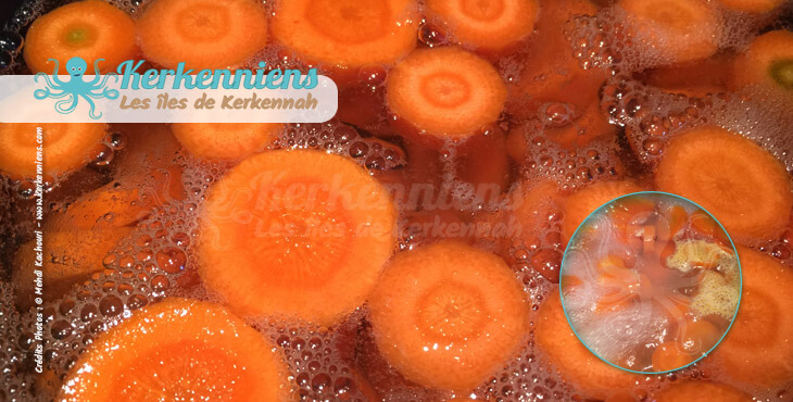 Recette de cuisine salade de carottes piquante Omek Houria - Les carottes à ébullition