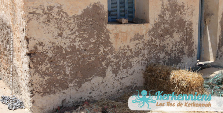 Dar arbi - Maison arabe Cet été je serai à kerkennah, Tunisie