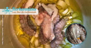 Recette de cuisine de poulpe (Karnit) penne façon kerkennienne oignon poulpe