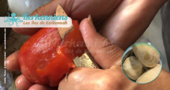 Éplucher les tomates, oignon, pomme-de-terre pour la Recette chakchouka tunisienne bel kadid