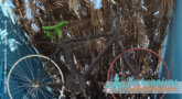 Discover Kerkennah location de vélos sur les îles de Kerkennah
