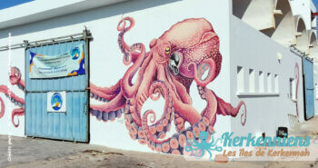 Poulpe (Karnit) – Street art à Kerkennah