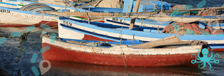 Circuit Kerkennah : Sortie en mer en felouque port d'El Ataya, Kerkennah
