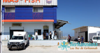 Arrivée de l’équipe de tournage TV5 Monde à l’usine de crabes bleus MAS FISH