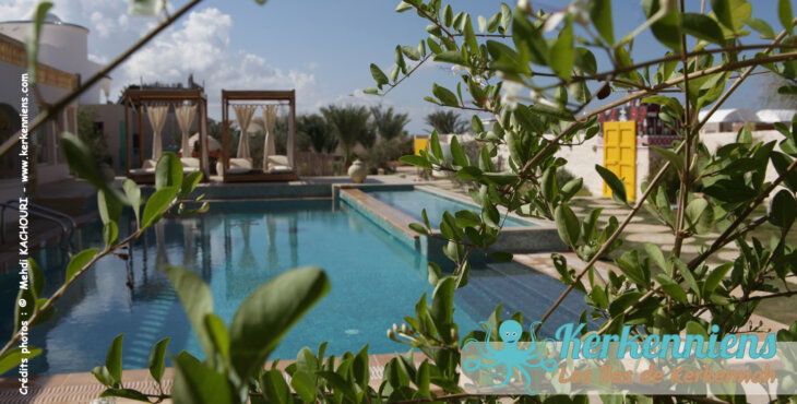 Vue sur piscine végétalisée entrée Dar Bounouma maison d'hôtes à Kerkennah
