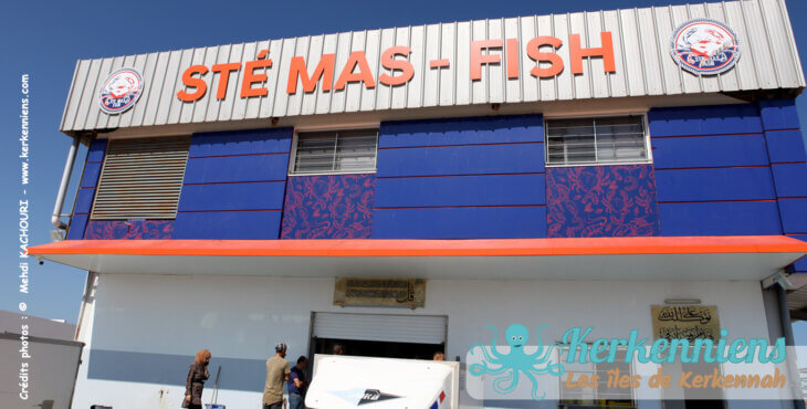 L'Eldorado Bleu : usine de MAS FISH à Kerkennah (Mellita)