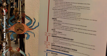 Horloge murale Crabe bleu