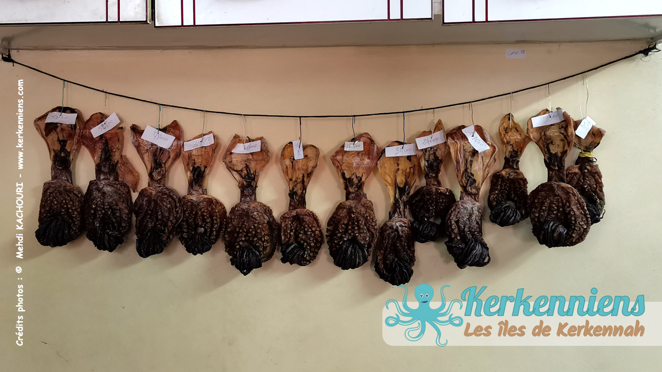 Guirlande de Poulpes séchés - Restaurant Kyrannis Tunis