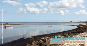 Kerkennah, archipel pilote du concept de plage écologique