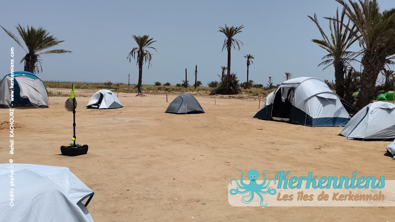 Sidi Funkhal, plage “aux mille palmiers”, enfin ce qu'il en reste ! Kerkennah