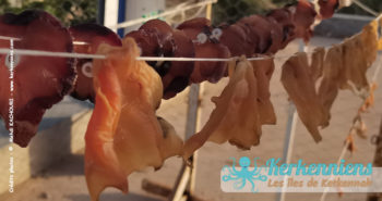 KalyBio, une offre de produits de la mer séchés traditionnellement à Ouled Ezzeddinne