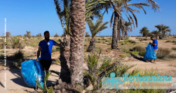 Nettoyage régulier d'une plage par une association locale : Préservation des plages El Kalij (Kerkennah)