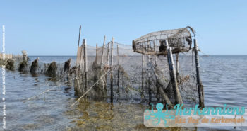 Les pêcheurs de Kerkennah, une tradition ancestrale
