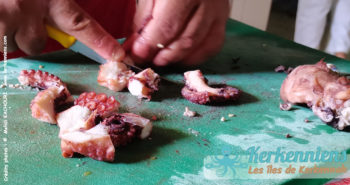 Morceaux de poulpe, garniture pour la pizza kerkennienne, version Restaurant Ennakhla, Sidi Frej, Kerkennah