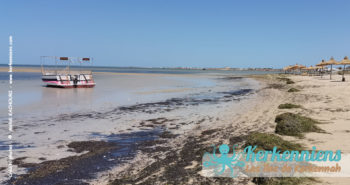 CoastSnap : surveiller l'évolution du littoral de Sidi Frej, éco-plage à Kerkennah