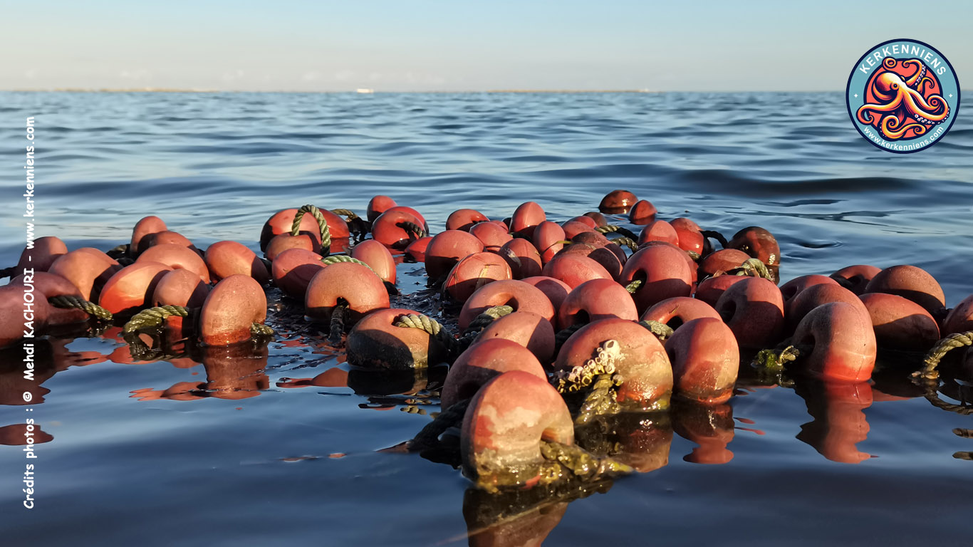Flotteurs de filets en boule : Les trésors marins de Kerkennah