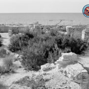 Quand la charfiya montre la voie, Fort El Hsar, Guillaume Maty, Kerkennah 2023