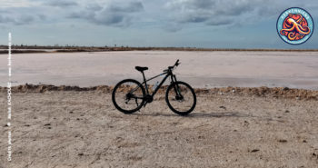 Exploration en deux roues : Une balade à vélo à Kerkennah