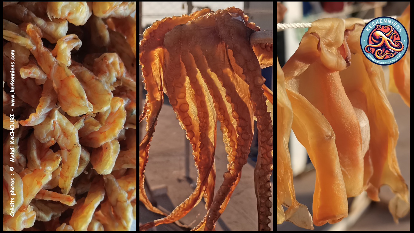 Trilogie gourmande : crevettes, poulpe et seiches séchées, le trio incontournable de KalyBio (Kerkennah) !