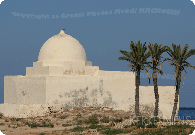 Les marabouts de Kerkennah - Ouled Bou Ali: Sidi Saïd