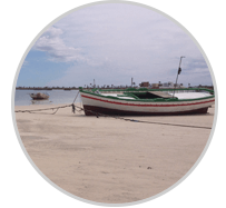 Archipel de Kerkennah : les 10 bonnes raisons destination Kerkennah Tunisie