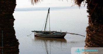 Album photos : Felouka de Kerkennah (barque typiquement kerkennienne)