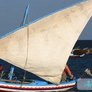 El Attaya Barques Felouques