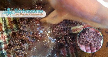 Malaxer raisins secs noire dans un tamis Recette de cuisine La Charmoula Sfaxienne