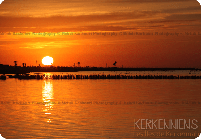 Coucher de soleil Iles de Kerkennah Kerkena Tunisie Photo 7