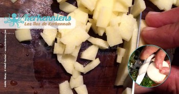 Coupez votre oignon (Bsall) et pomme de terre couscous aux calmars farcis (Kosksi bel mattik mehchi)