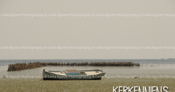 Felouk Village Kerkennah marée basse Karkna - Photo de Leila Ayoub Kerkennienne