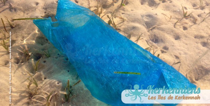 Le grand nettoyage des plages de Kerkennah Tunisie