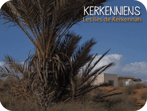 Iles Tunisiennes de la Méditerrannée : Ile de Kerkennah