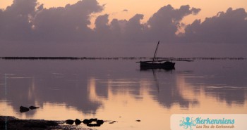 Album photos : Levers de soleil des Iles de Kerkennah