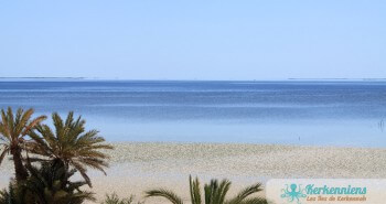 Phénomène en Méditerranée de la marée de l'Archipel de Kerkennah (Tunisie)