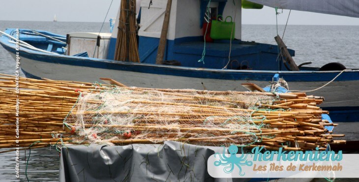 Le filet avec les flotteurs et les roseaux pour la pêche la pêche à la Sautade (Damassa)