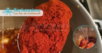 Ajouter le Curcuma (Kourkoum) et le piment rouge couscous aux calmars farcis