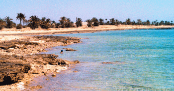 La plage de Sidi fredj Kerkennah kerkenniens le blog