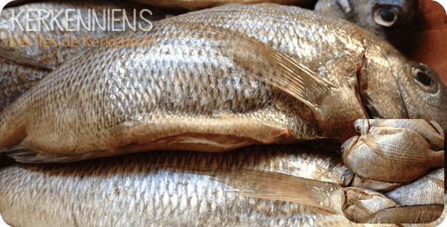 Ingrédients pour la Recette du poisson méchoui (Poisson au barbecue) à la Kerkennienne
