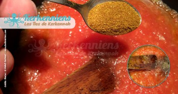 Recette de cuisine sauce kerkenaise tomates pelees cumin kamoun kerkennaise